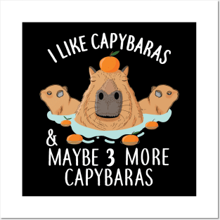 I like Capybaras and maybe 3 people Funny Baby Capybara Posters and Art